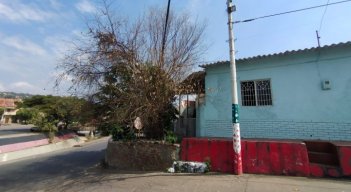Pareja de adultos mayores denuncia la quema de su árbol