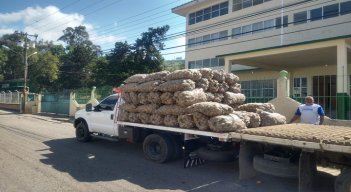 Cargamento de papa colombiana fue detectado en plena zona productora del Táchira. Fotos cortesía / La Opinión 