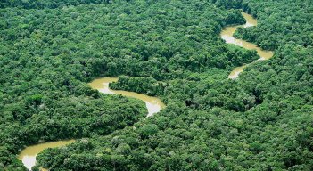 Mercurio: el veneno oculto que asusta a Colombia