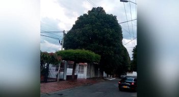 Al menos cinco familias del sector reportan afectaciones