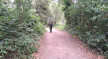 Organizaciones no gubernamentales exigen la presencia de Naciones Unidas en búsqueda de desaparecidos en fosas comunes. 