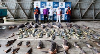 En 10 años autoridades han incautado más de 300 toneladas de pesca ilegal