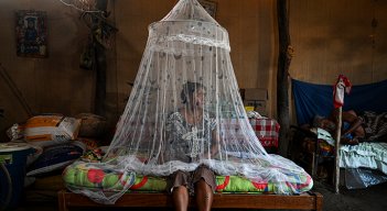 Perú, sumido en el peor brote de dengue de los últimos tiempos  