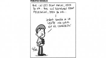 Principios variables