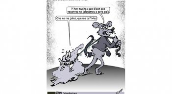 Los que creen jalonar al país...