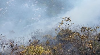 Preocupación existe entre las autoridades ambientales por la disminución del caudal del río Algodonal.