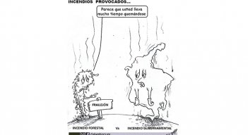 Incendios provocados
