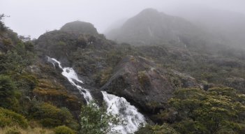 Propuestas ambientales para preservar los ecosistemas de Norte