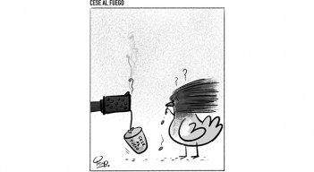 Cese al fuego