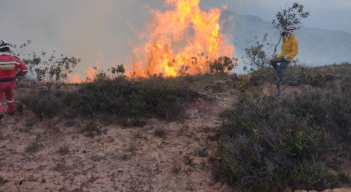 Incendios forestales