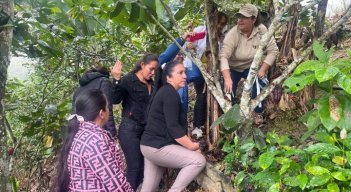 Mujeres rurales lideran la cadena del Cacao en el Catatumbo. Desde sus prácticas y cosmovisión, mujeres de comunidad barí impulsan su empoderamiento productivo y económico./ Fotos: Cortesía / La Opinión 
