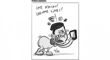 Perros rabiosos