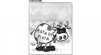 La vaca de Uribe