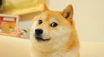 Kabosu