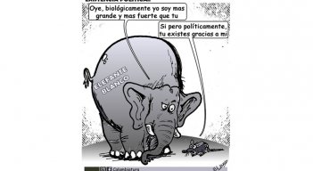 Existencia política