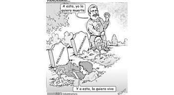 Caricatura @Colombiatura