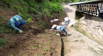 De la mano de las alcaldías adelantan las brigadas de capacitación, recolección y almacenamiento temporal en aras del saneamiento básico ambiental./ Foto: Cortesía / La Opinión