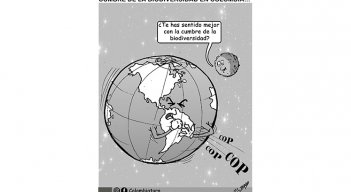 Caricatura @Colombiatura