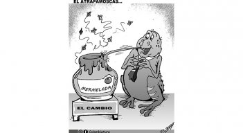 El atrapamoscas