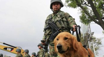 Perro antiexplosivos frustró atentado