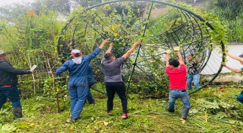 Funcionarios rescatan de la maleza material para iluminar a Ocaña durante la Navidad.