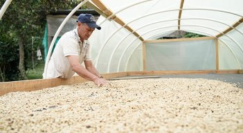 El café colombiano, en el que se incluye al de Norte de Santander, tiene como principal destino EE. UU./Foto Archivo
