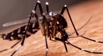 La ciudad de Cúcuta ha activado un plan de contingencia para proteger a sus habitantes.