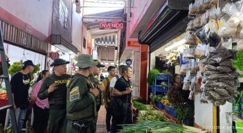 Autoridades ambientales adelantan operativos para controlar el uso de elementos naturales en la Navidad.