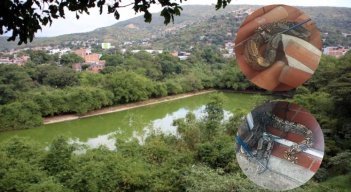 Boas Constrictoras en la laguna de oxidación