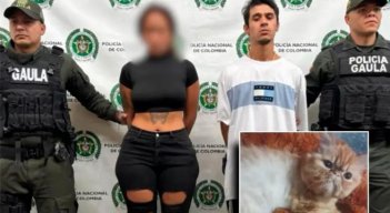 Detenido-Secuestro-Gato