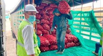 Cebolla. / Foto Cortesía