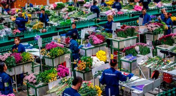 Flores de Colombia. / Foto Cortesía