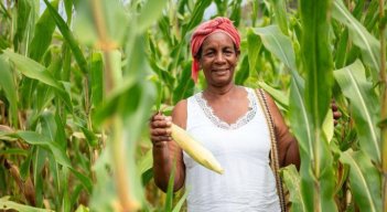 Sembrando Vida cuenta con un fondo común de 150.000 millones de pesos para apalancar los proyectos que beneficiarían a más de 68.000 campesinos. / Foto: Cortesía. 
