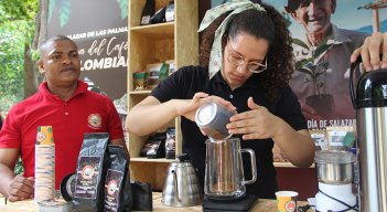Café de Norte de Santander. / Foto Cortesía