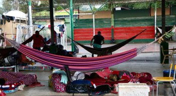 Familias desplazadas y animales abandonados deja la guerra en Orú 7, Tibú
