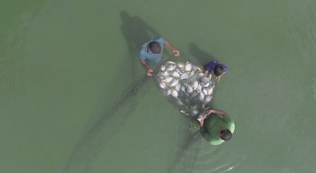 El Catatumbo representa una potencia agropecuaria, que al ser parte de la ZEE Binacional, puede impulsarse su desarrollo./Foto Archivo