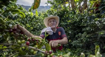 El nuevo arancel base de 10% impuesto por Estados Unidos a las importaciones de café colombiano genera preocupación. / Foto: Cortesía.