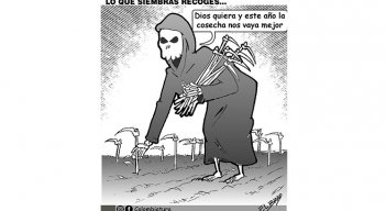 Lo que siembras recoges