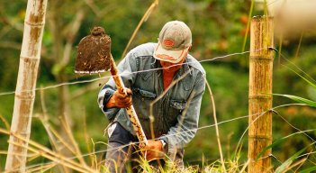 Empleo en el campo. / Foto Archivo