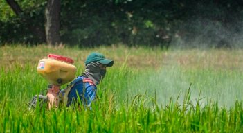 Productores del campo. / Foto Archivo