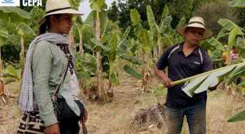 Documental-campesinos