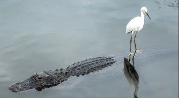 Florida. 