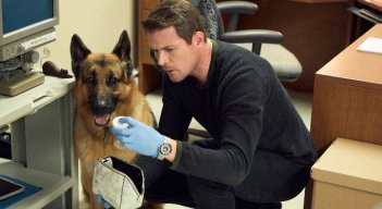 ‘Hudson & Rex’ vuelven a la carga: AXN estrena su segunda temporada.