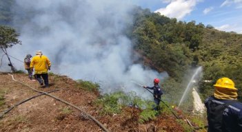 Exigen castigo ejemplar a los pirómanos.