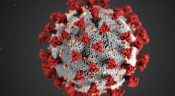 nuevo virus en China