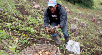 Agricultor del páramo Almorzadero. 