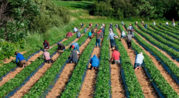 Agricultores