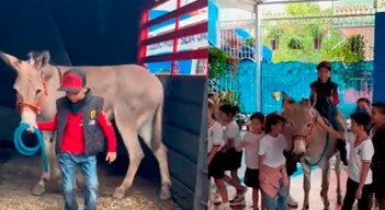 Niño y su mascota burro