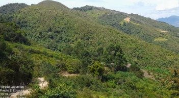 Denuncian a intrusos en la reserva forestal del acueducto independiente.