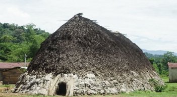 Emergencia de salud en la comunidad de Bridikayra del pueblo Barí en el Catatumbo.